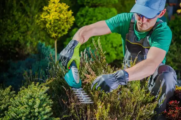 landscaping services Independence